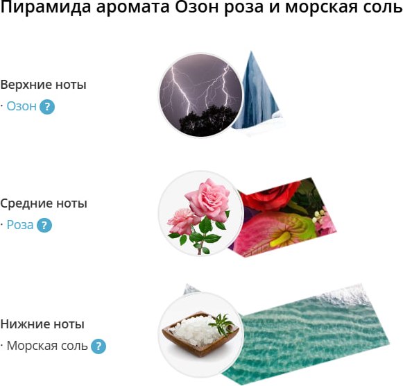 Аромадиффузор Eteria Cosmo Озон роза и морская соль ETC0145 (45мл)