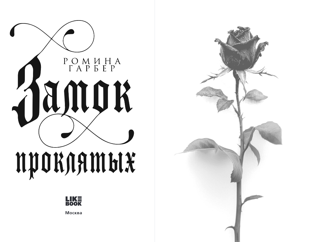 Художественная книга Like Book Замок проклятых, твердая обложка (Гарбер Ромина) — фото 2