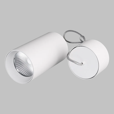 

Потолочный светильник, SP-POLO-HANG-R85-15W White5000 WH-WH 40deg / 027426