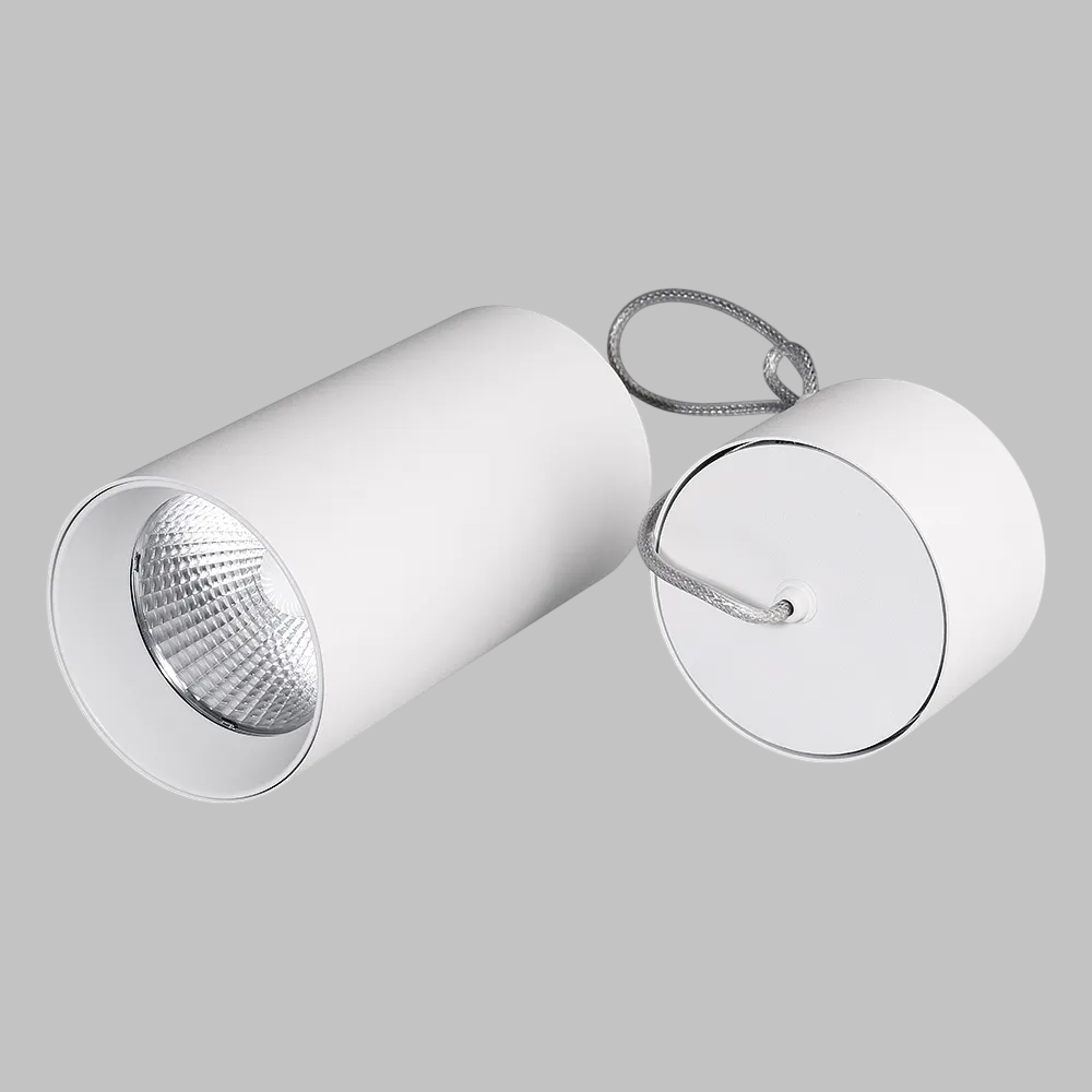 Потолочный светильник Arlight SP-POLO-HANG-R85-15W White5000 WH-WH 40deg / 027426