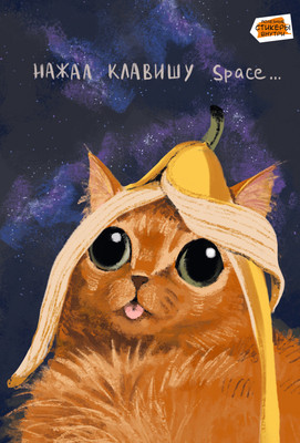 Тетрадь Listoff Space / ТС2Л4805307 (80л) -