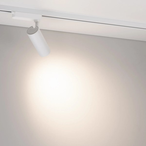 Трековый светильник Arlight LGD-GERA-2TR-R55-10W Day4000 WH 55deg / 055040
