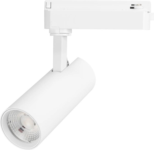 Трековый светильник Arlight LGD-GERA-2TR-R55-10W Day4000 WH 55deg / 055040