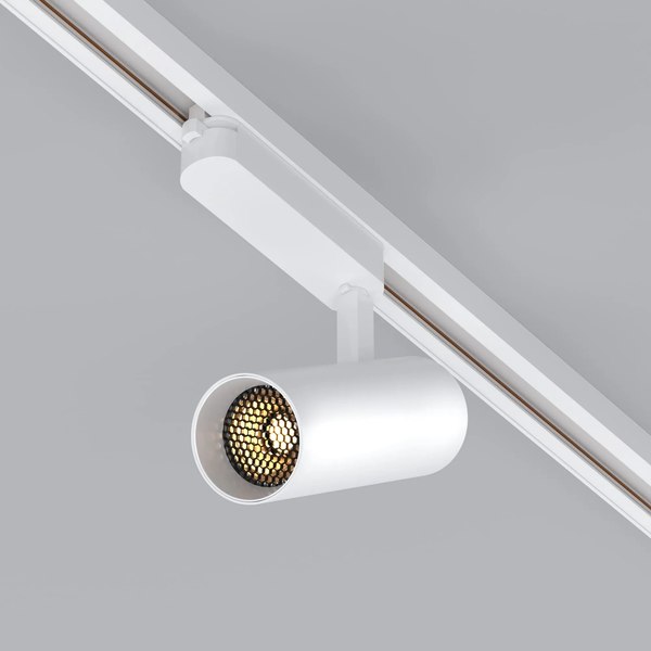 Трековый светильник Arlight LGD-GERA-2TR-R55-10W Warm3000 WH 36deg / 055060