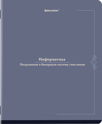 Тетрадь предметная Brauberg Vintage. Информатика / 405154 (48л) -