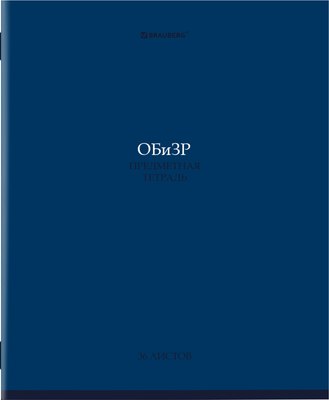 Тетрадь предметная Brauberg Колор. ОБизР / 405081 (36л) - 