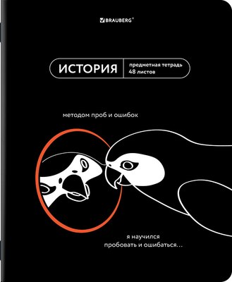 Тетрадь предметная Brauberg Мемы. История / 405103 (48л) - 