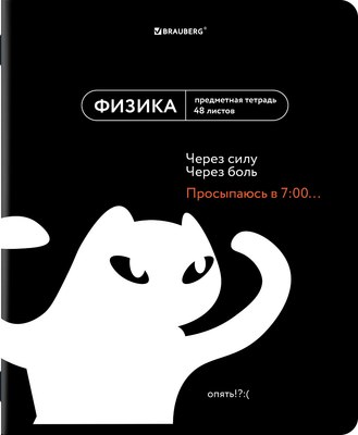 Тетрадь предметная Brauberg Мемы. Физика / 405106 (48л) - 
