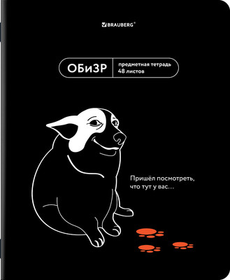 Тетрадь предметная Brauberg Мемы. ОБизР / 405108 (48л) - 