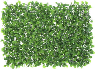 

Изгородь декоративная, Мокрица 60x40см / 6869838