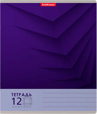 Тетрадь Erich Krause Duotone Next / 56296 (12л, крупная клетка) - 