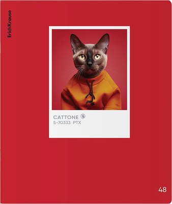 Тетрадь Erich Krause CatTone / 63308 (48л. клетка) - 