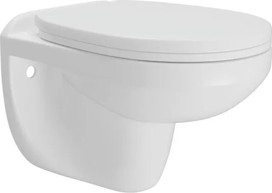 Купить Унитаз подвесной Teymi Hanna / T40900 в Бобруйске