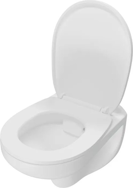 Купить Унитаз подвесной Teymi Hanna / T40900 в Бобруйске