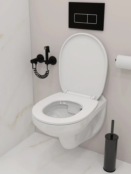 Купить Унитаз подвесной Teymi Hanna / T40900 в Бобруйске