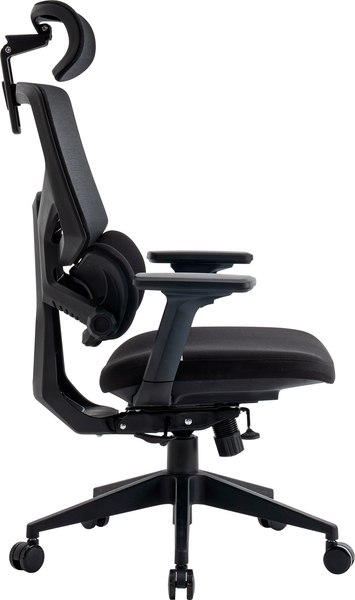 Купить Кресло офисное Evolution LumbarPro в Бобруйске