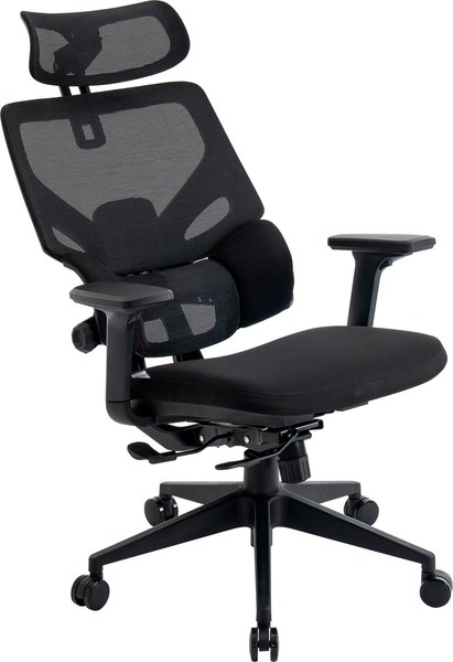 Купить Кресло офисное Evolution LumbarPro в Бобруйске