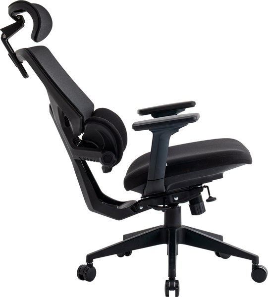Купить Кресло офисное Evolution LumbarPro в Бобруйске