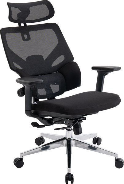 Купить Кресло офисное Evolution LumbarPro AL в Бобруйске