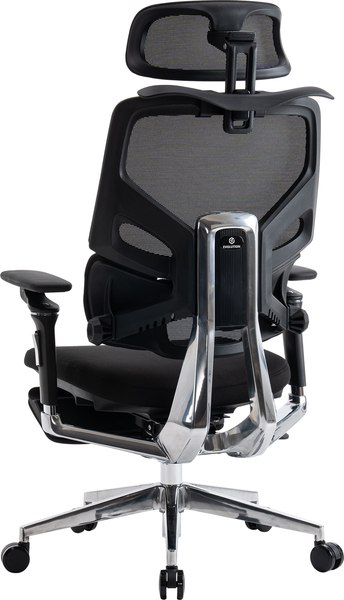 Купить Кресло офисное Evolution LumbarPro Elite в Гомеле