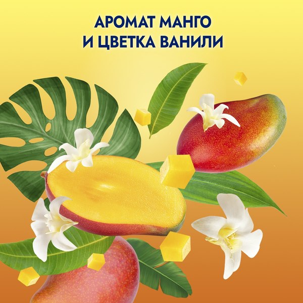 Гель для душа Фа Бали Delight Аромат манго и цветка ванили (750мл)