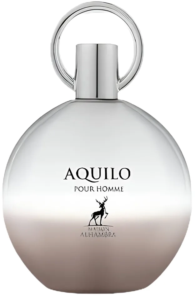 Парфюмерная вода Maison Alhambra Aquilo Pour Homme (100мл)