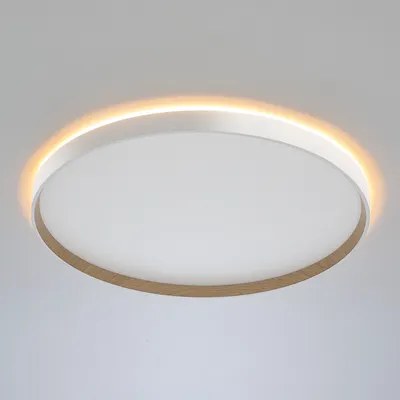 

Потолочный светильник, Etalon CL750500R