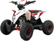 Электроквадроцикл Motax Gekkon E1300 (красный/белый) - 