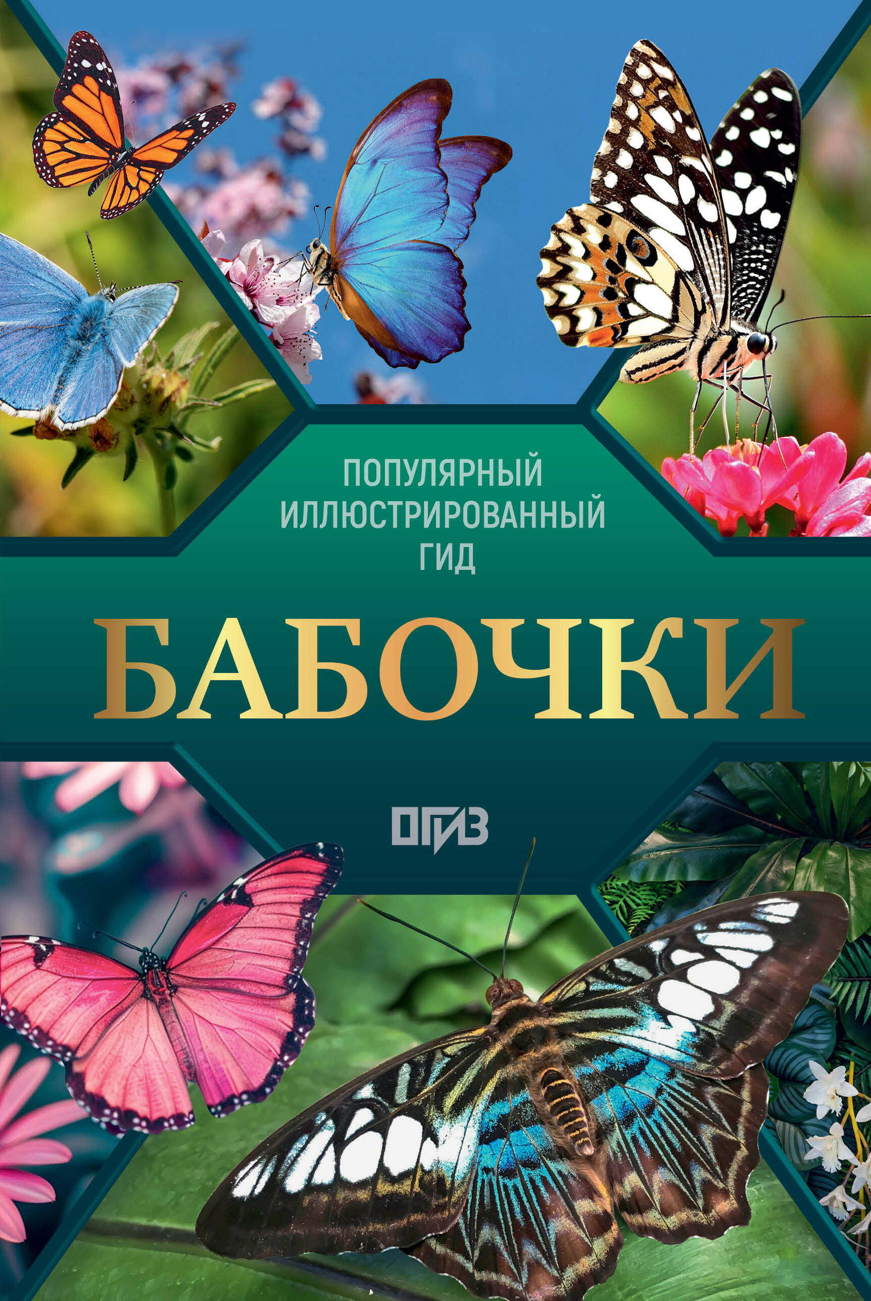 Книга АСТ Бабочки. Иллюстрированный гид, твердая обложка (Спектор Анна)
