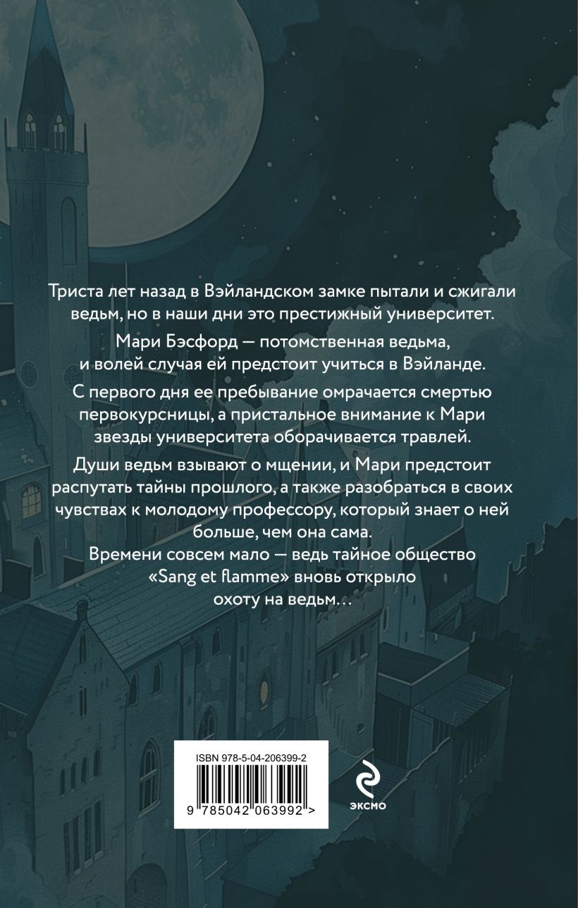 Набор художественных книг Эксмо Стихея. Демонант. Последнее желание, твердая обложка (Рай Нана, Лик Амалия, Сит Анжей) — фото 5