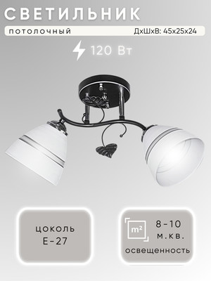 

Потолочный светильник, НПБ 02-2x60-101 / 5722/2