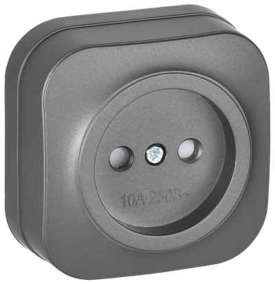 Розетка IEK Glory ERH13-K46M-10 (сталь матовый)