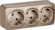Розетка IEK Glory ERH31-K37M-16 (шампань матовый) - 
