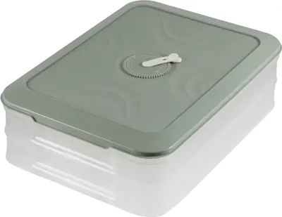 

Контейнер, 300х205х80мм / 15-06