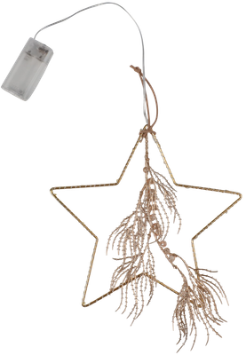 

Подвеска новогодняя, Тип 6 Звезда с веткой 25х24см 18LED 2АА