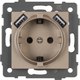 Розетка Arlight SCT-MUAA-PL-GD-V / 049821 - 