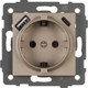 Розетка Arlight SCT-MUAC-PL-GD-V / 049832 - 