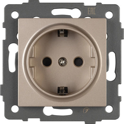 Розетка Arlight SCT-MEU1-PL-GD-V / 049817 -