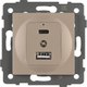 Розетка Arlight SCT-MUAC-PL-GD-V / 049841 - 