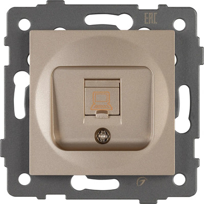 

Розетка, SCT-MPC1-PL-GD-V / 049849