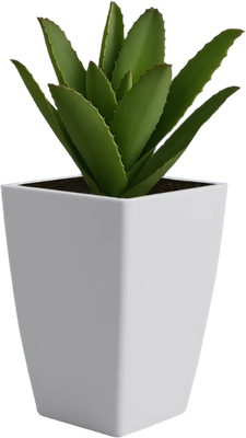 Кашпо BOTANICA Cactus (11.5x18см, белый) - 