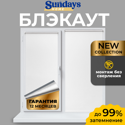 Рулонная штора Sundays Home LM 168-01 34х160 (белый) - 