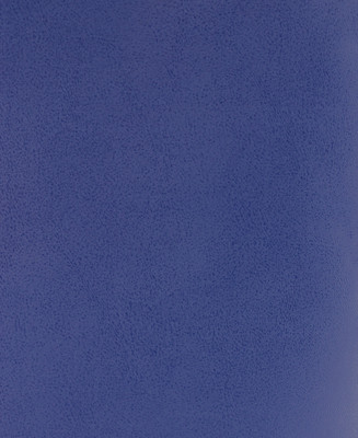 Тетрадь Listoff ТБ5968178 (96л, синий) - 