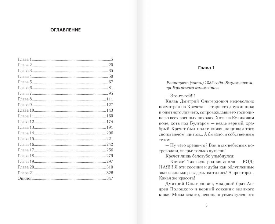 Художественная книга АСТ Князь Федор. Меч Тамерлана, твердая обложка (Злотников Роман, Калинин Даниил) — фото 3