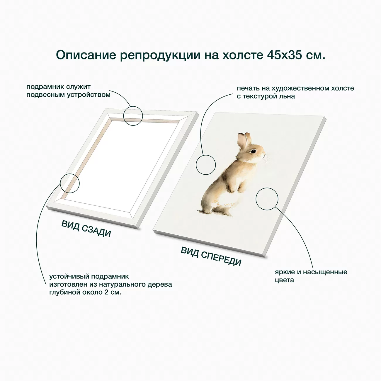 Картина Stamprint Пушистый кролик / CD023 (45х35см) — фото 4