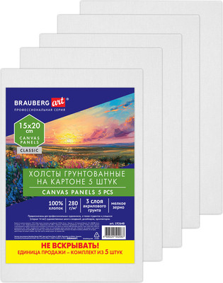 Набор холстов для рисования Brauberg Art Classic / 192648 (5шт) - 