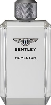 Туалетная вода Bentley Momentum (100мл) - 