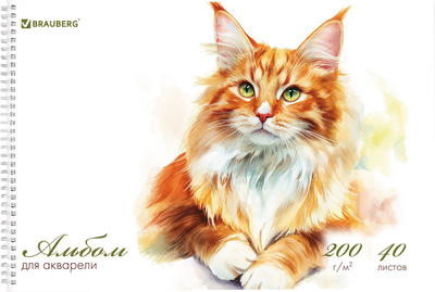 Альбом для рисования Brauberg Мейн-кун / 116884 (40л) -