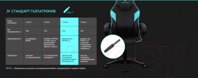 Кресло геймерское ThunderX3 EC1 Air (черный/голубой)