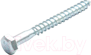 

Шуруп ЕКТ, CV501481
